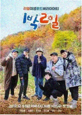 周日晚八点综艺封面